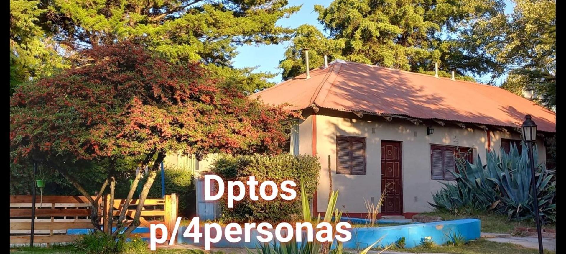הוילה ויז'ה ג'יארדינו Complejo Cabanas Del Alto מראה חיצוני תמונה
